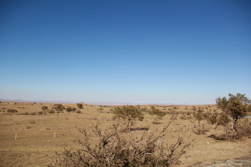 view of desert
