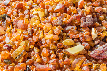 Lots of pieces of natural amber from Baltic Sea.
