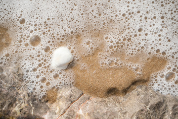sea wave with bubbles on the sand beach. seashell nautilus on sea beach.