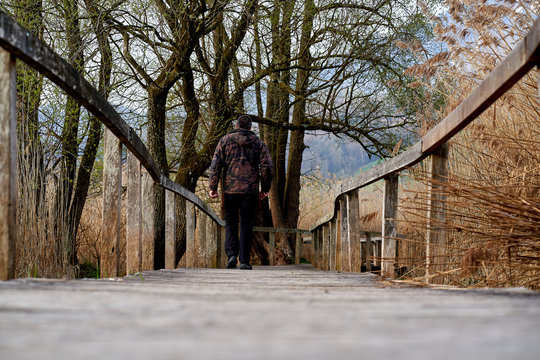 beatiful nature reserve with a wooden path
