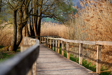 beatiful nature reserve with a wooden path