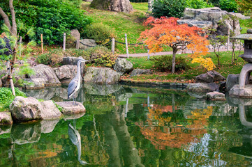Kyoto Garden