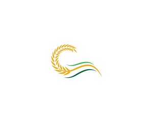 Obraz premium Wheat vector icon illustration