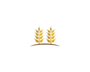 Wheat vector icon illustration