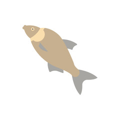 Bream Illustration