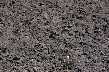 background black soil with clumps in spring