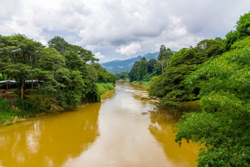 Naklejka na ściany i meble Landscape of river with mud and trees