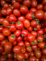 Delicious tomato vegetable