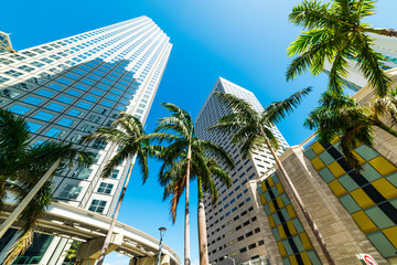 Fototapeta na wymiar Skyscrapers and palm trees in downtown Miami on a sunny day