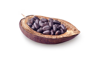 Cocoa  beans  on white background - Изображение