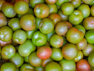 A heap of green tomatoes, photographed at the traditional local market of the colonial town of...