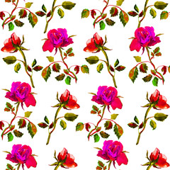 Watercolor red roses with leaves