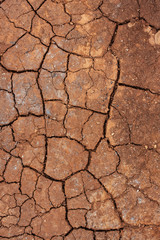 Dried soil texture
