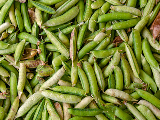 A heap of green pea pods. Photographed at the traditional local market of Villa de Leyva, in the Andean mountains of central Colombia.