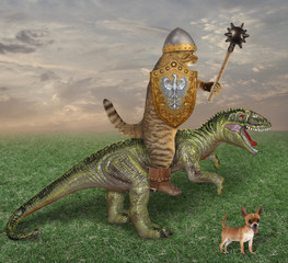 The cat knight with a spiked mace and a shield is riding the dragon in the field. His dog is next...