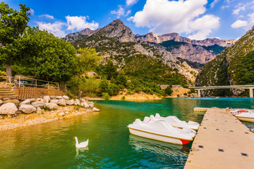 White catamarans and geese swim in water