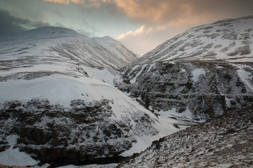 graphique noir et blanc