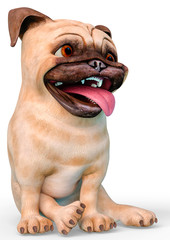 puppy pug lazy situation in a white background