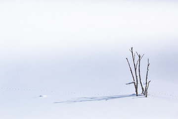 Fototapeta na wymiar シューパロ湖の冬