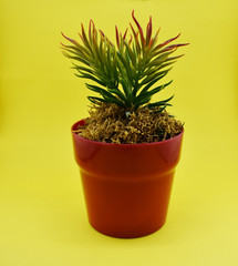artificial ornamental plant
