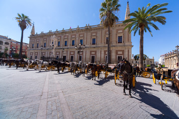 Fototapeta premium Horses and Pferde kutschen in Sevilla - Archivo General de Indias, India Archive, Indienarchiv