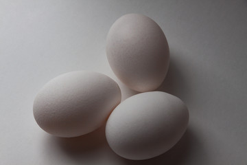 eggs isolated on white background