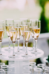 Many glasses of champagne