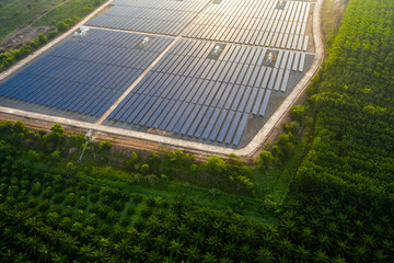 Aerial view of the solar panel farm when the sunrise and the sun shines beautifully.