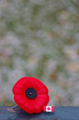 Red poppy pin with Canada pin on spotty snowy background