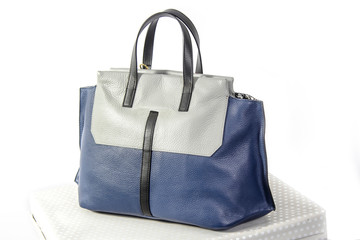 Naklejka premium Women handbag