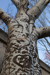 love carvings on a tree, Paris, France