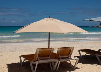 Caribbean colors: sunbeds and umbrellas on public beach, intense blue sea and sky: tropical paradise.