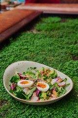 Salad with quinoa and vegetables, pumpkin seeds, boiled eggs, avocado and greenery on a beautiful plate on a natural green background from microgreen. Close up. Space