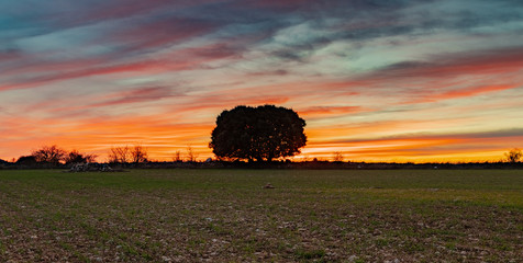 Sunset in the fields of Guadalajara, Spain.