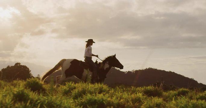 Cowgirl horseback riding at sunset in green field, brown and white horse cantering with rider