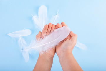 White feathers in children's hands on a blue background. Symbolic photo in light shades. Copy space.