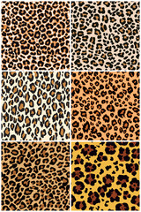 Leopard  skin seamless pattern  six different abstract vector wild fur  wallpaper