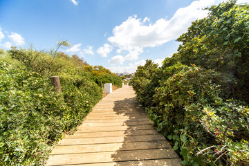 Country and Beach view at the atlantic ocean, spain, andalusia, summer