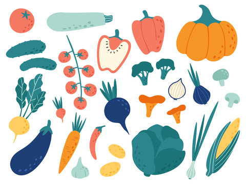 Hand drawn vegetables. Veggies nutrition doodle, organic vegan food and vegetable doodles vector illustration set