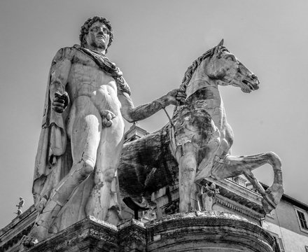 Dioscuri