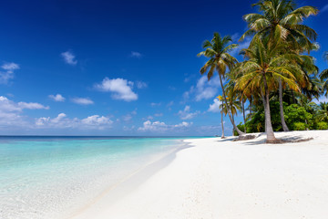 Exotischer Strand mit Palmen, feinem Sand und türkisem Ozean auf den Malediven