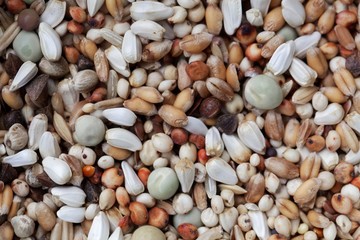 Mixture of grains and seeds
