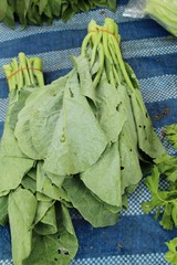 chinese kale for cooking at street food