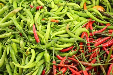 Fresh chilli for cooking at street food