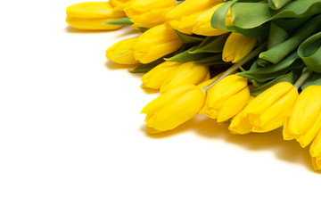 Yellow tulips isolated on white background. Top view. Close-up.