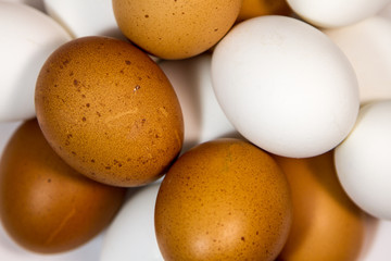 eggs in a bowl