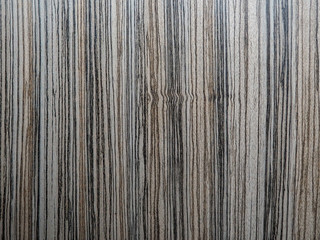 Fototapeta premium the texture of the wood surface
