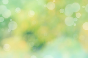 Plakat Abstract defocused nature background with green and yellow bokeh