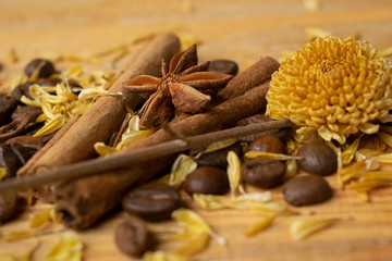 Spices with the coffee seeds on the wooden background