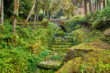 Beautiful green scenery of the arch bridge in Alishan forest at Taiwan.